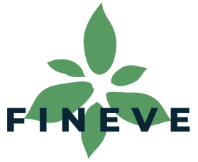 Fineve